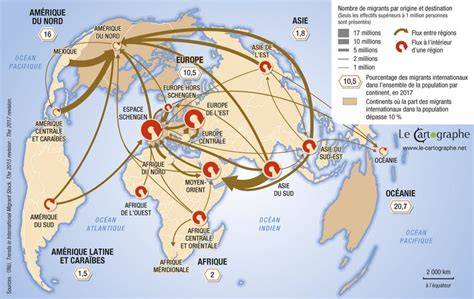 Carte des flux migratoires vers la France