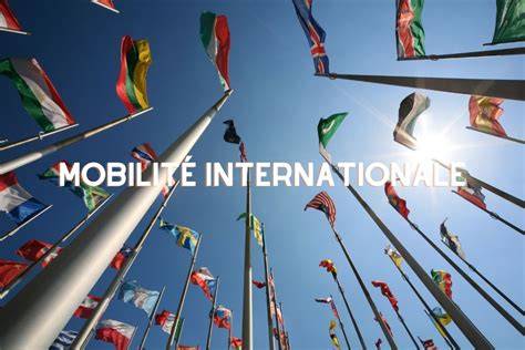 frais de mobilité internationale