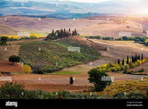 Collines toscanes vignobles cyprès