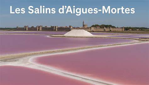 Salins roses et montagnes de sel camarguaises