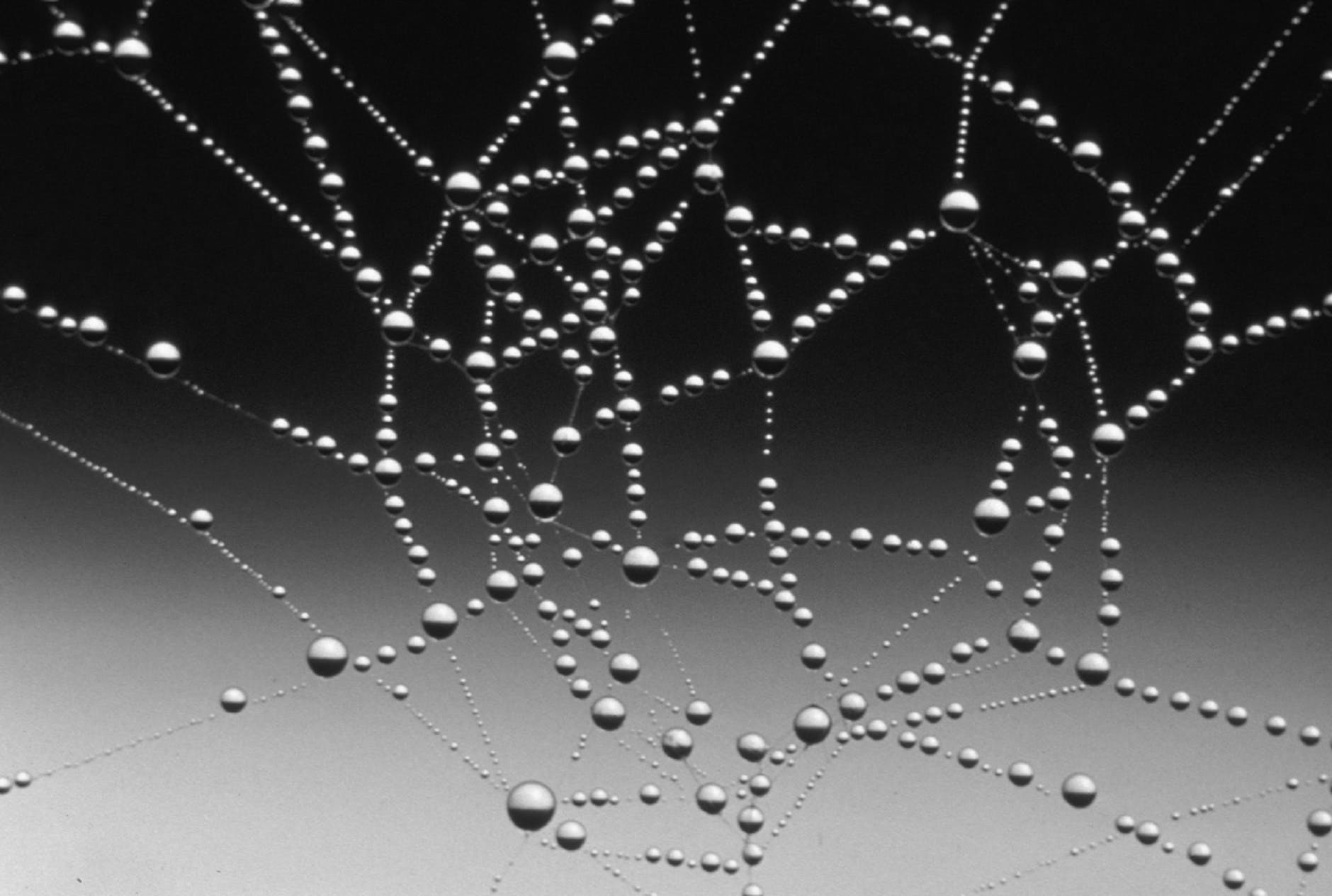 image d'une toile d'araignée, représente la communication